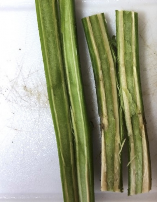 plant stems cut open to show brown streaking