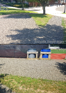 Figure 14. Worn turfgrass was replaced with gravel in this high traffic area at an athletic field entrance.