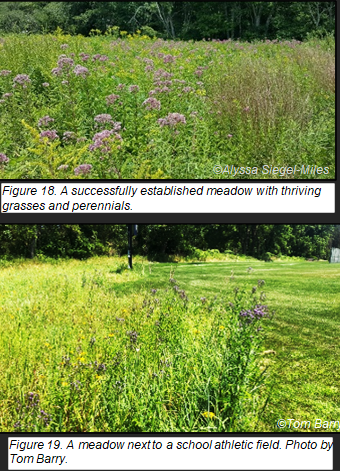 Native habitats