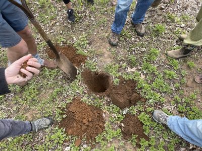 Hand holds soil over a shovel and dug hole